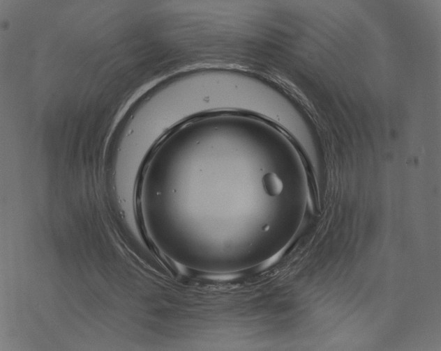 X0000076440484200610061301