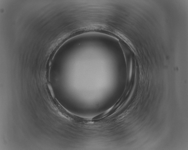 X0000076440485200610061301
