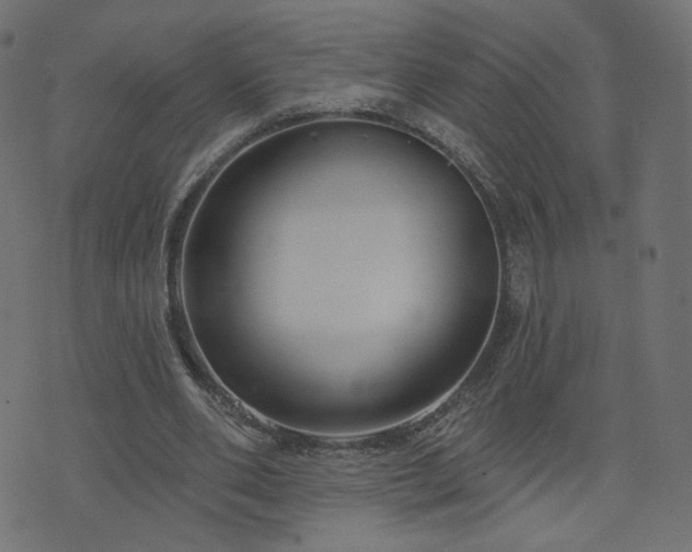X0000076440486200610061301