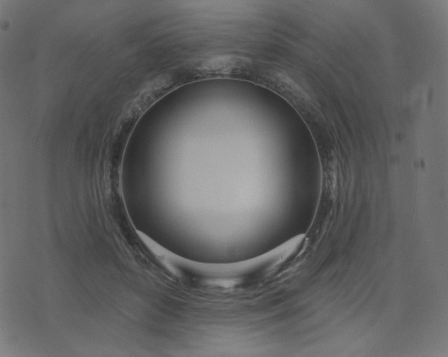 X0000076440504200610061301