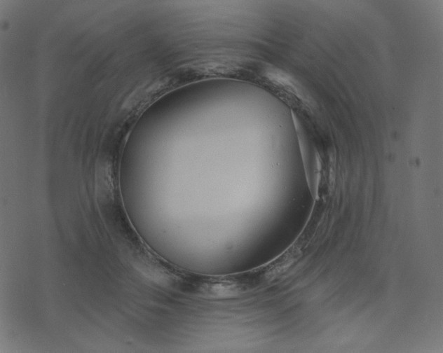 X0000076440506200610061301