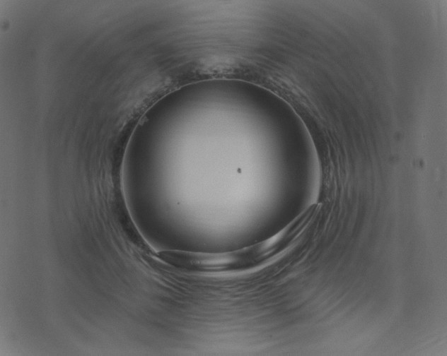 X0000076440508200610061301