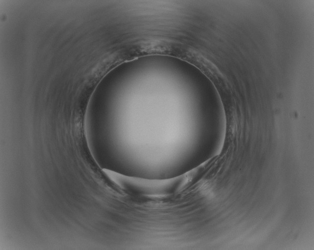 X0000076440513200610061301