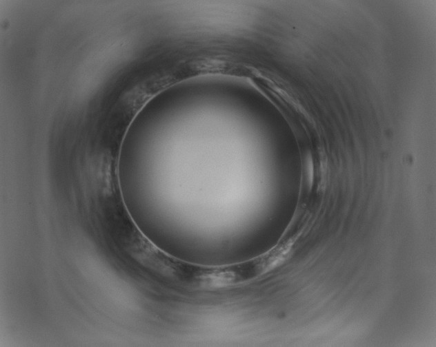 X0000076440525200610061300