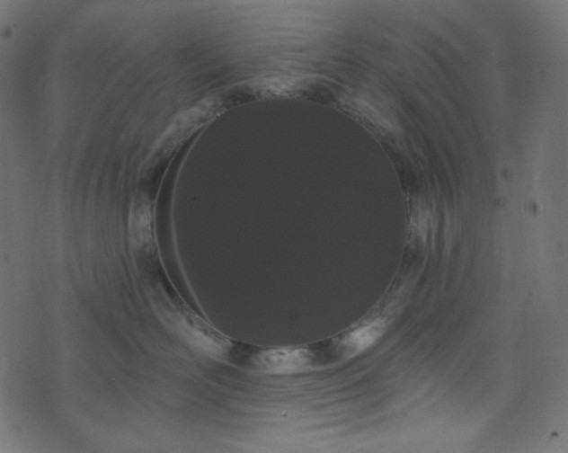 X0000076440526200610061300