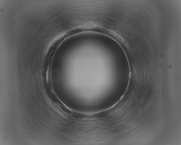 X0000076440535200610061300