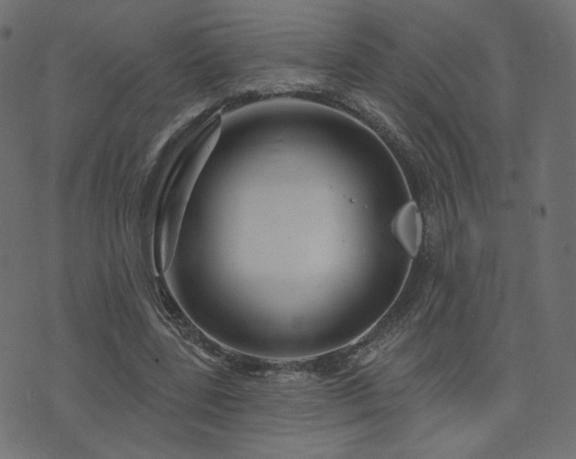 X0000076440539200610061300