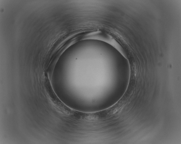X0000076440546200610061300