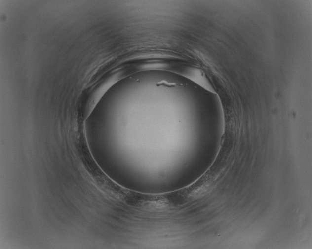X0000076440548200610061300