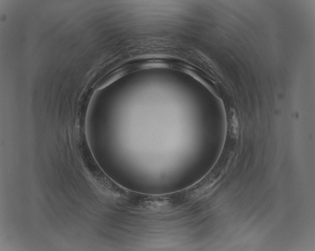 X0000076440552200610061300