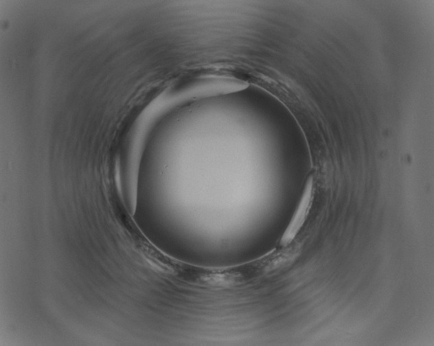 X0000076440558200610061300