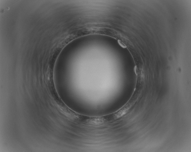 X0000076440567200610061300