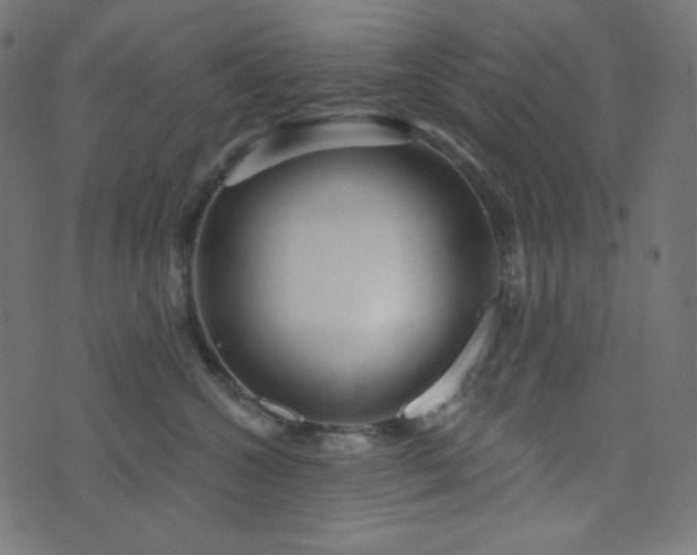 X0000076440572200610061300