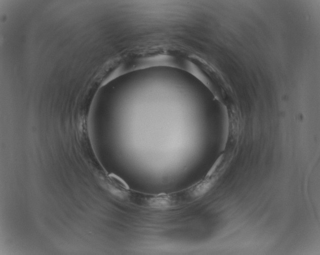 X0000076440574200610061300
