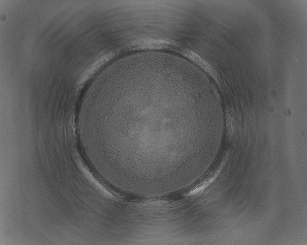 X0000076440581200610061259