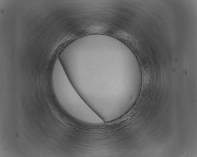 X0000076440591200610061259