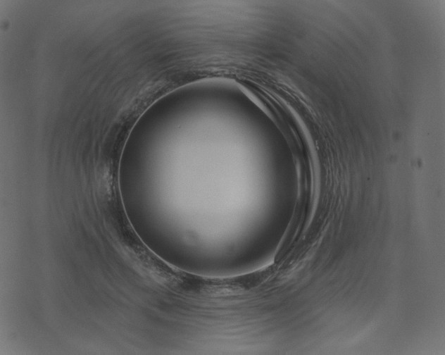 X0000076440597200610061259