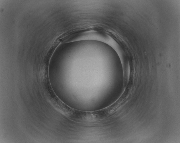 X0000076440600200610061259