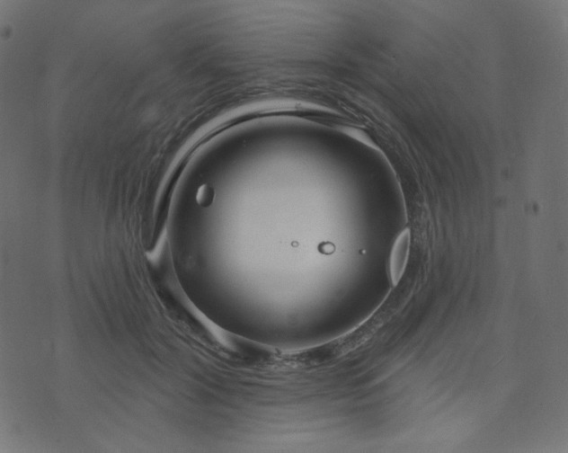 X0000076440604200610061259