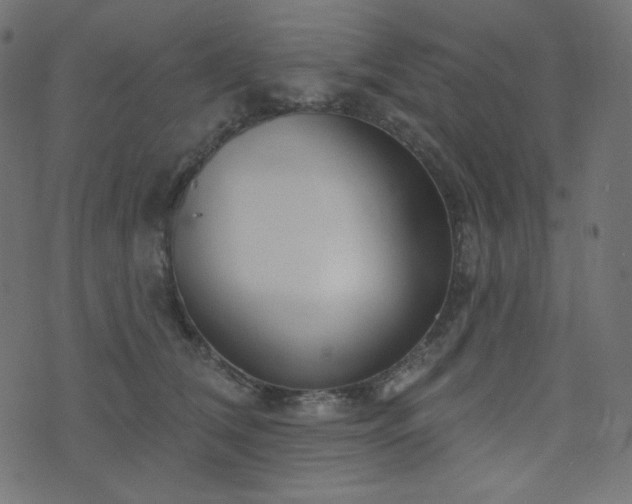 X0000076440612200610061259