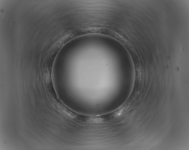 X0000076440617200610061259