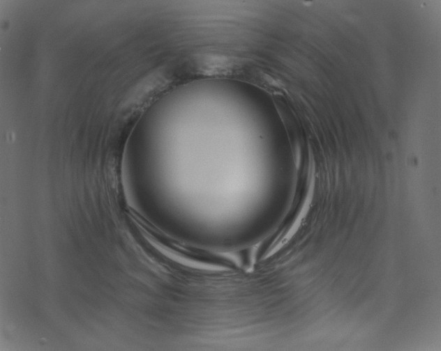 X0000076440620200610061259