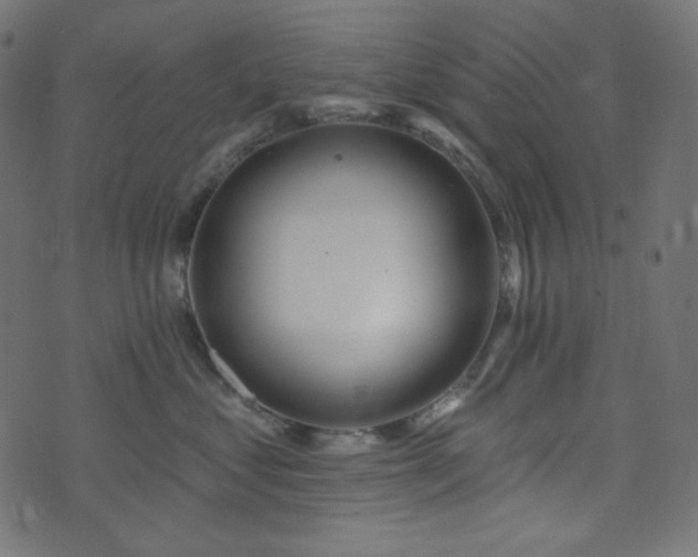 X0000076440621200610061259