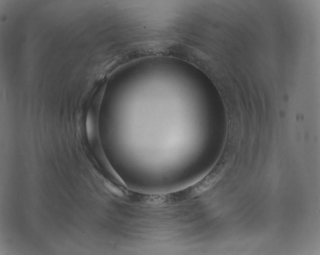 X0000076440624200610061259
