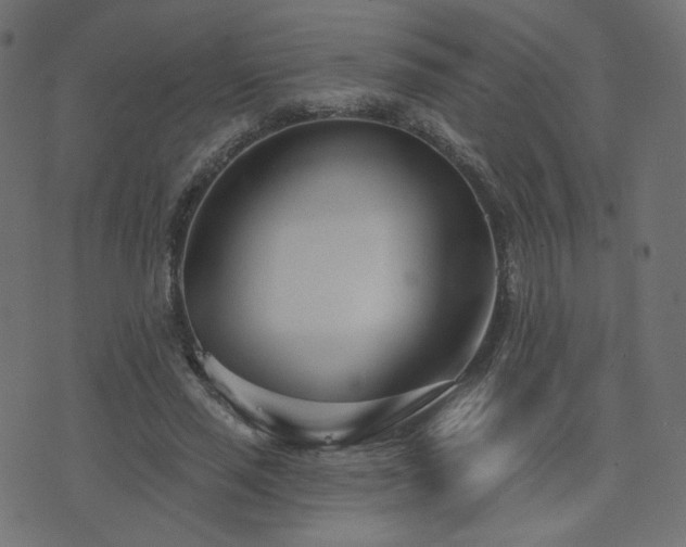 X0000076440637200610061258