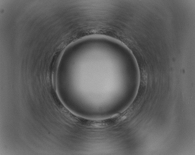 X0000076440657200610061259