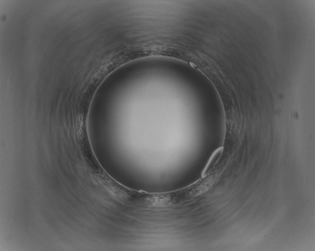X0000076440660200610061259