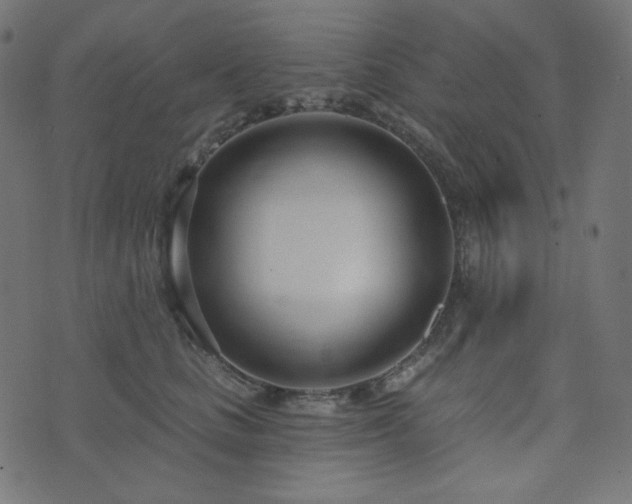 X0000076440661200610061259