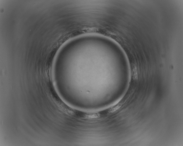 X0000076440662200610061259