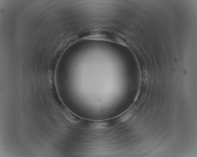 X0000076440664200610061259
