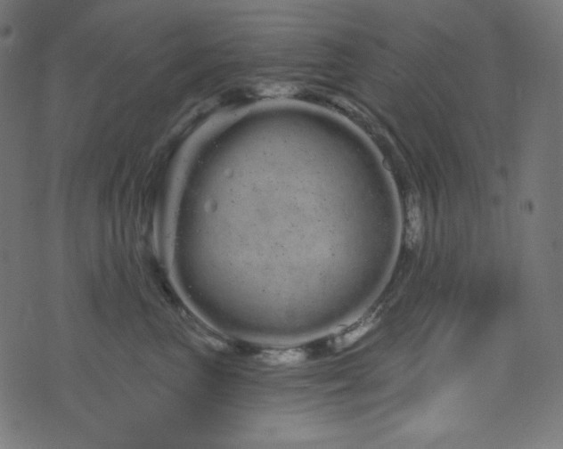 X0000076440667200610061259