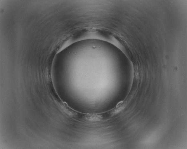 X0000076440670200610061259