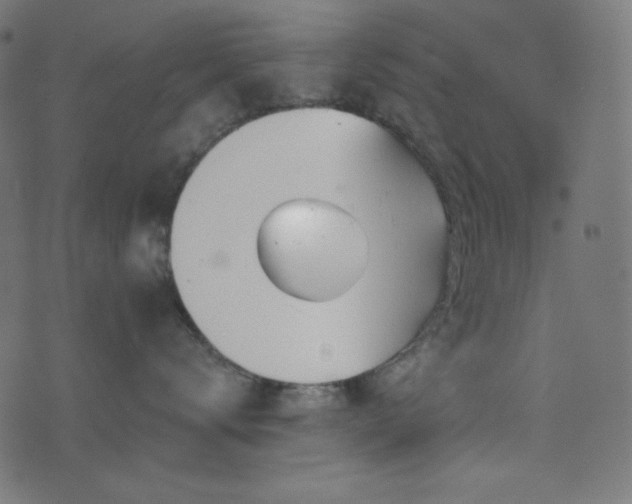 X0000076440672200610061259