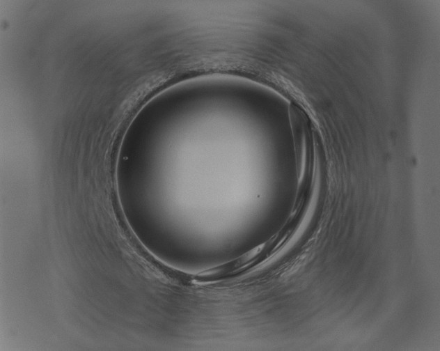 X0000076440673200610061258