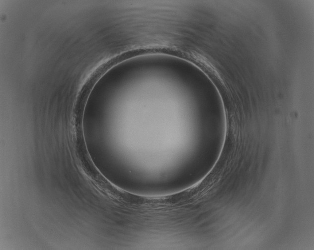 X0000076440676200610061258