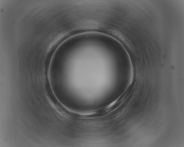 X0000076440677200610061258