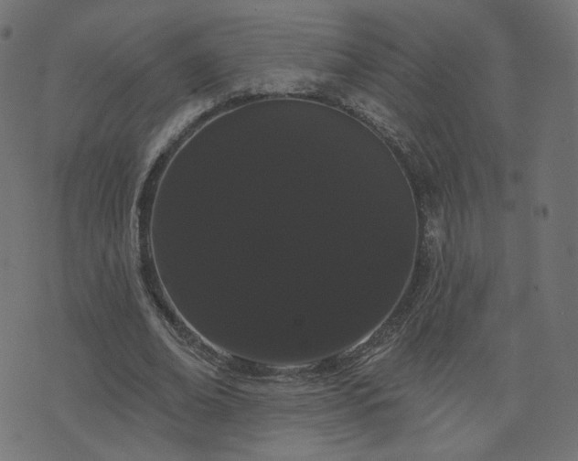 X0000076440678200610061258