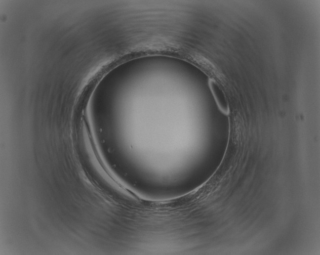X0000076440680200610061258