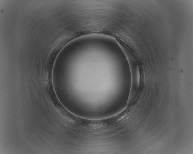 X0000076440693200610061258
