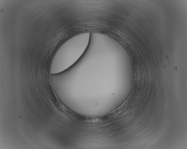 X0000076440695200610061258
