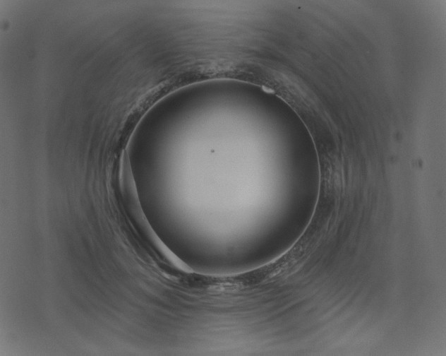 X0000076440700200610061258