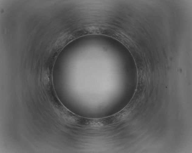 X0000076440702200610061258
