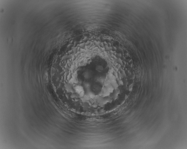 X0000076440703200610061257