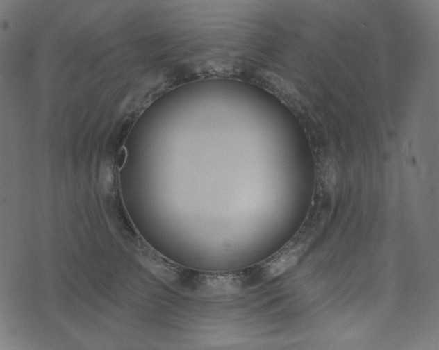 X0000076440709200610061257