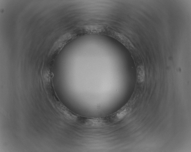 X0000076440713200610061257