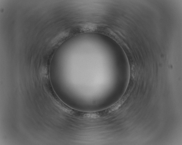 X0000076440714200610061257